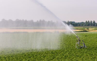 Nieuwe pachtnormen per 1 juli 2024